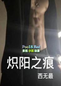 炽阳之痕小说讲了什么